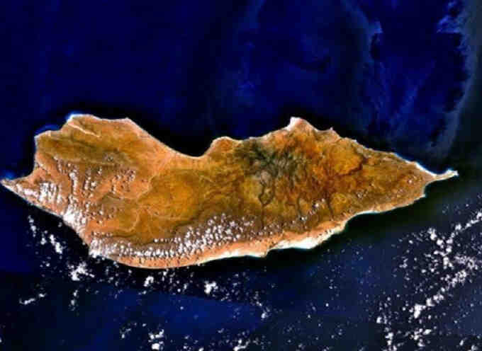 地球“外星岛”:千万年前的植物仍在插图% 地球“外星岛”:千万年前的植物仍在