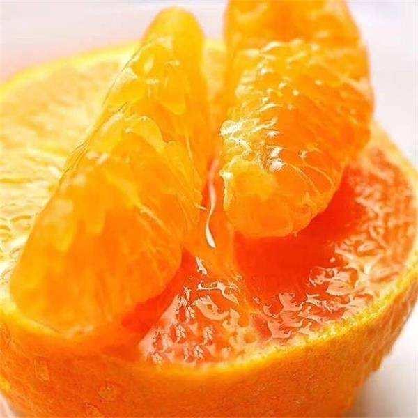橙子竟然是橘子和柚子杂交而来的？插图3%
