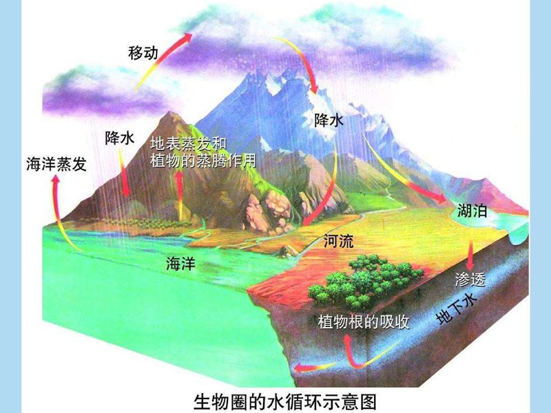 地球上最大的生态系统是什么插图2%