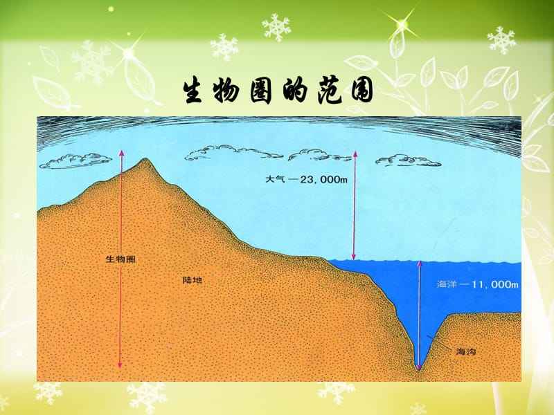 地球上最大的生态系统是什么插图3%