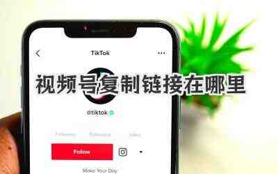视频号复制链接在哪里