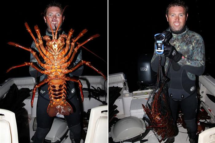 英国男子捕获70岁巨形高寿龙虾-千呱资源网