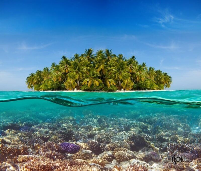 神奇的半水下摄影-千呱资源网