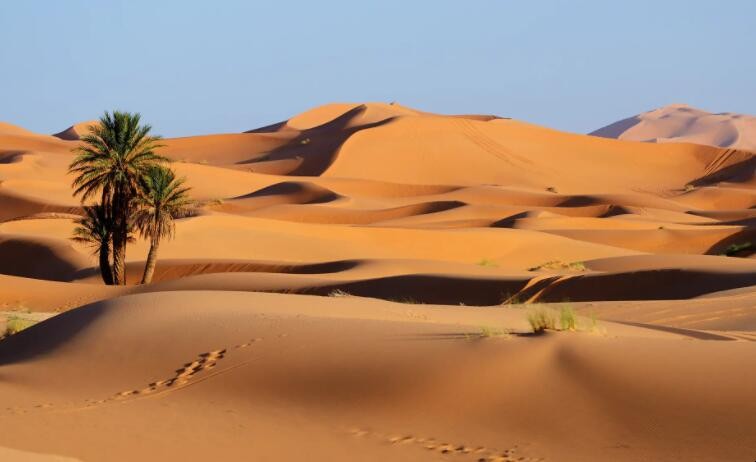 沙漠形成的原因是什么-千呱资源网