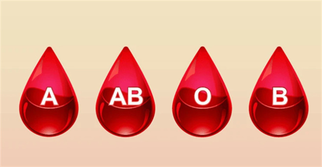 恐龙血是什么血型 什么是孟买血型-千呱资源网