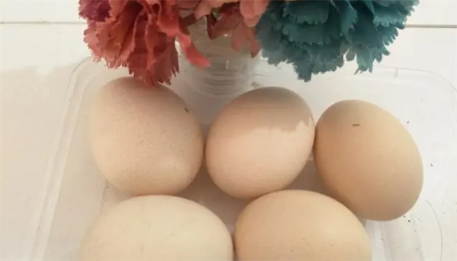 不能放进微波炉加热的东西有哪些-千呱资源网