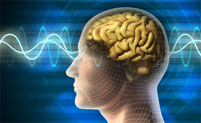 大脑为什么删除2岁前的记忆-千呱资源网