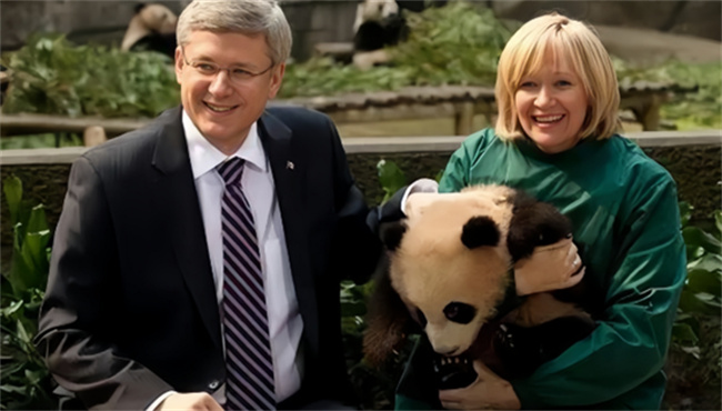 熊猫外交有哪些国家-千呱资源网