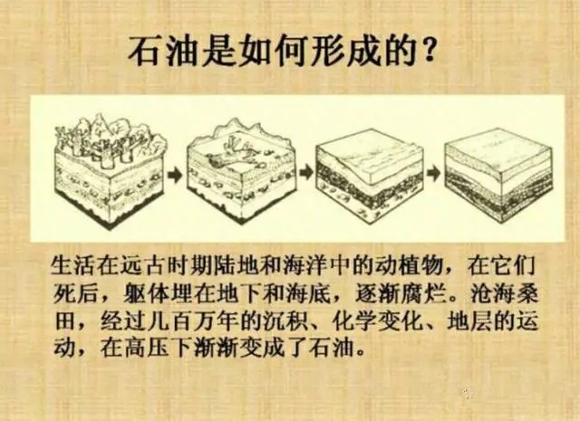 石油是怎样形成的?-千呱资源网