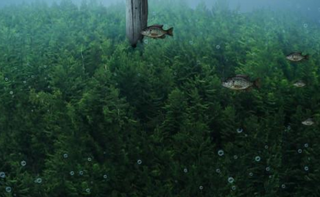 极地冰盖加速融化对地球有何影响？-千呱资源网