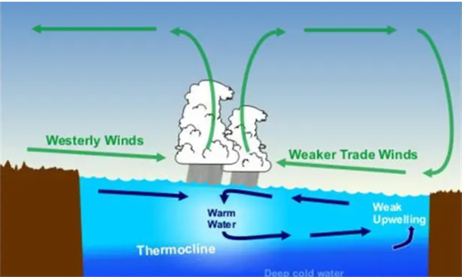 厄尔尼诺现象有什么影响-千呱资源网