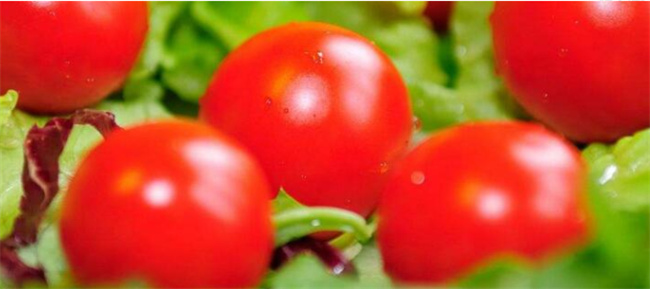 碱性蔬菜有哪些-千呱资源网