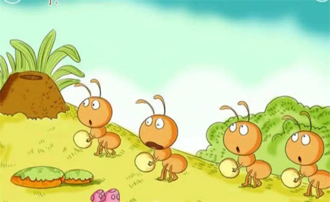 蚂蚁为什么不会迷路-千呱资源网