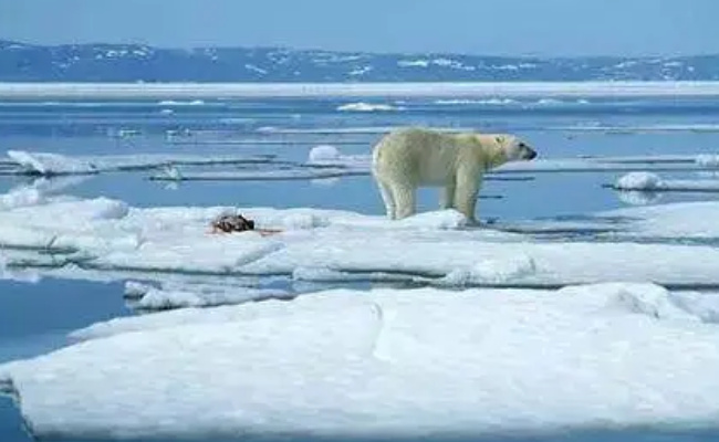 全球变暖下为何还这么冷-千呱资源网