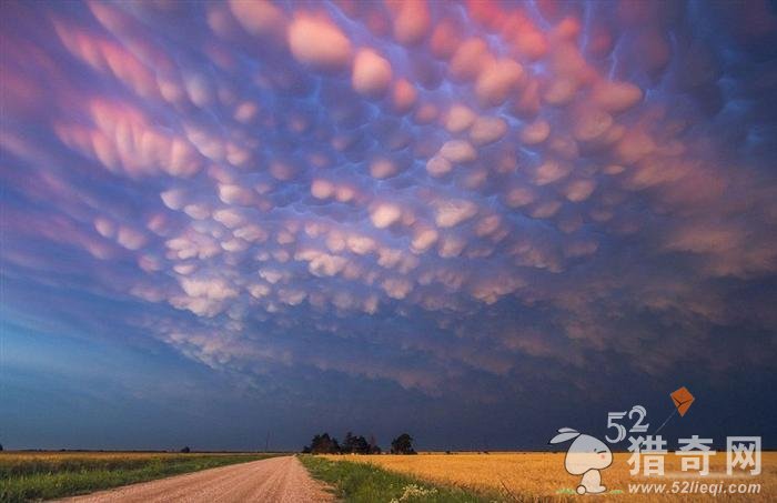 美国上空惊现罕见“乳房云”-千呱资源网