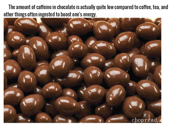 关于巧克力的有趣事实，绝对出乎意料-千呱博客网