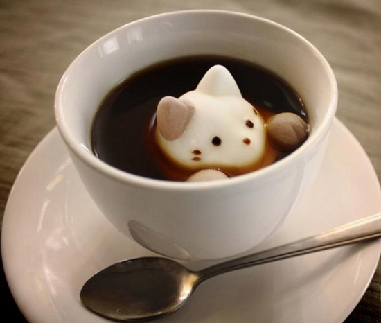 超可爱的猫肉球棉花糖-千呱博客网