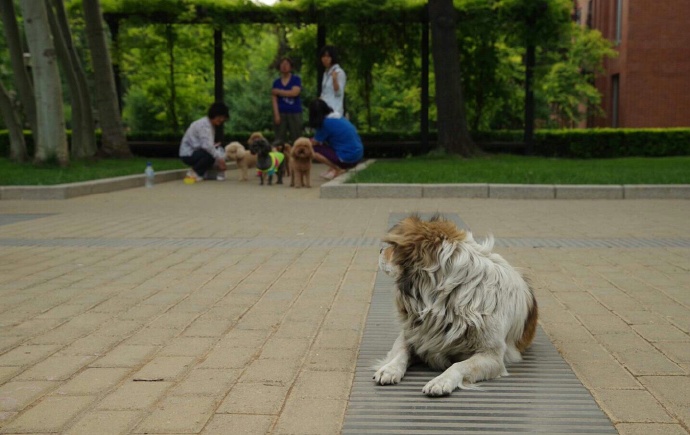 我也想要有个家-千呱博客网