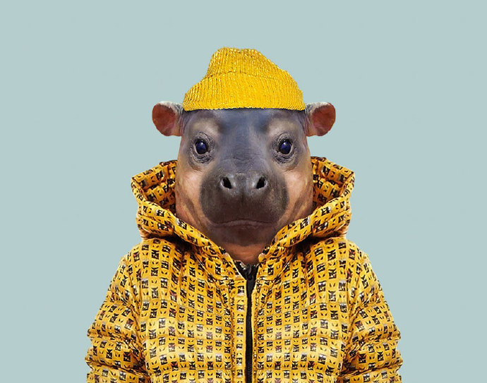 各种动物的时装秀-千呱博客网