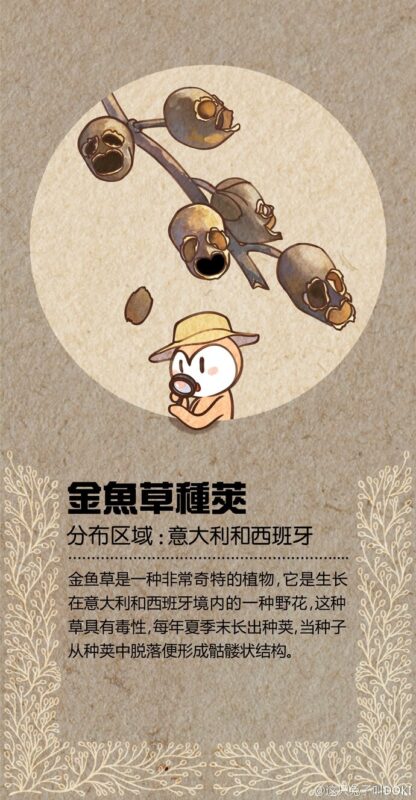 【科普】九种猎奇植物菌物-千呱博客网