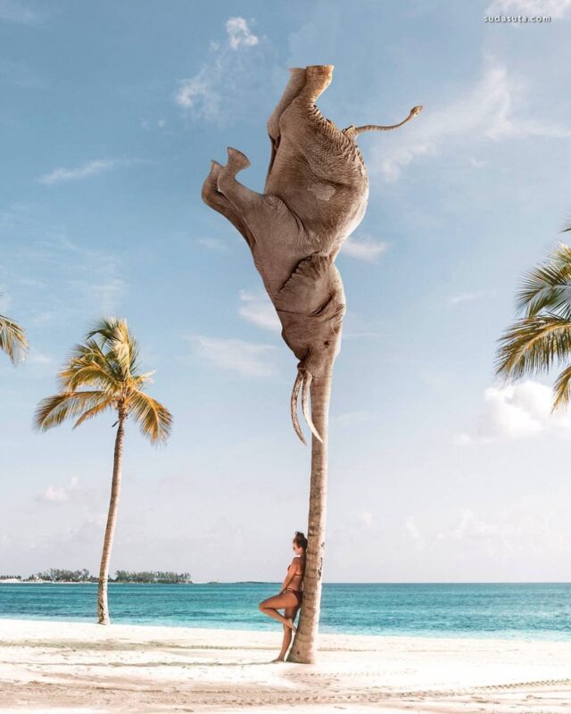 超现实主义合成照片（二）-千呱博客网