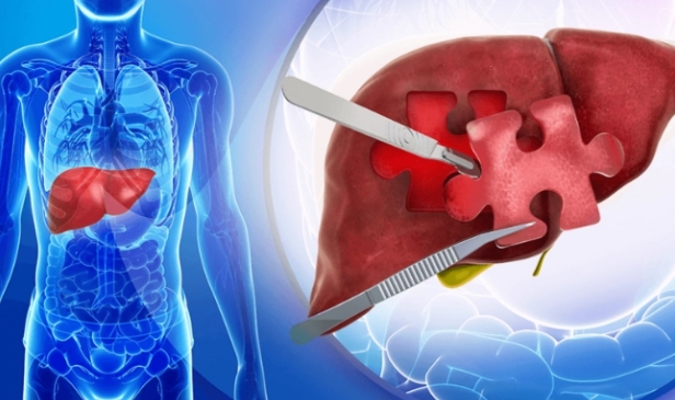 为什么肝癌通常一发现就是晚期了？-千呱博客网