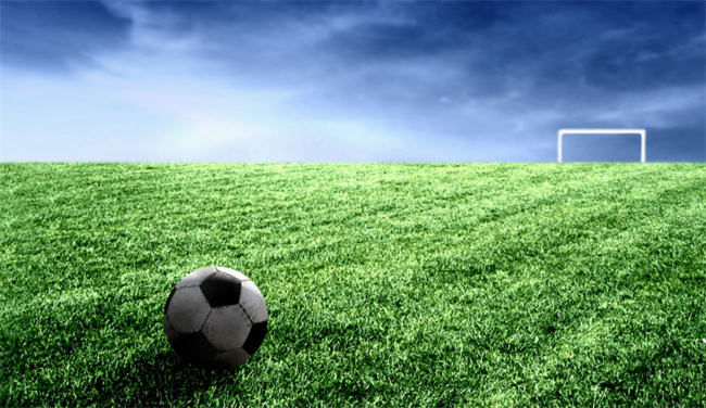 2026世界杯在哪些城市举办-千呱博客网