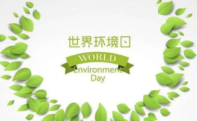 为何要设立环境日？-千呱博客网