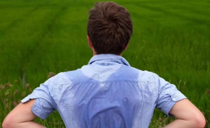 为什么有的人特容易出汗 有的人却几乎不出汗？-千呱博客网