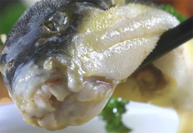 吃河豚后几个小时安全-千呱博客网