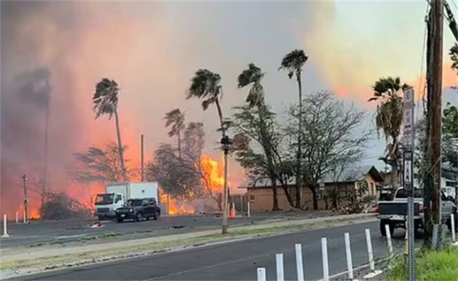 夏威夷大火废墟中的X字样是什么-千呱博客网
