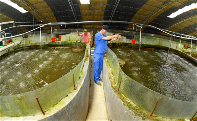 内陆没有“海” 如何养“海鲜”-千呱博客网