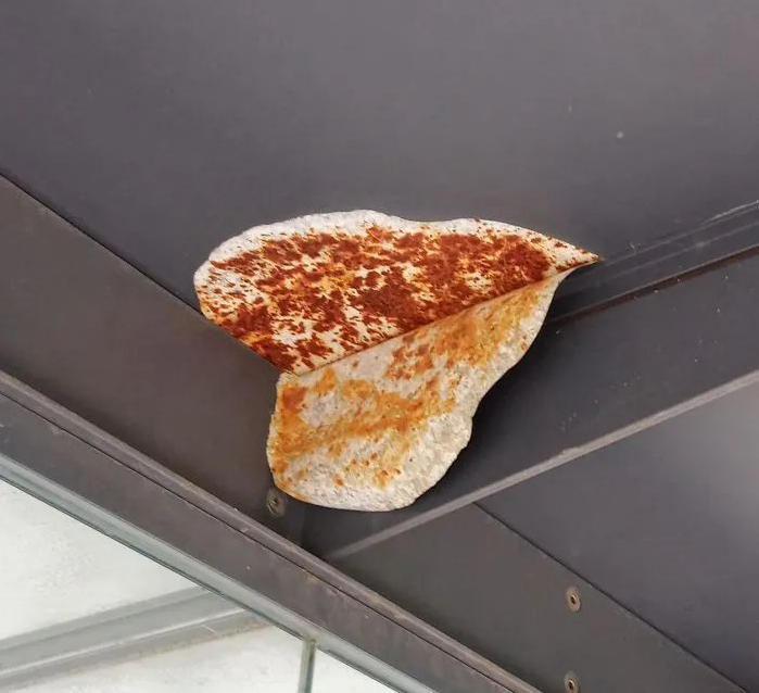 20张非常容易看错的图片，99%的人会上当（二）-千呱博客网