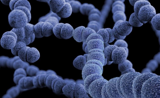 呼吸道合胞病毒和支原体感染有啥不同-千呱博客网