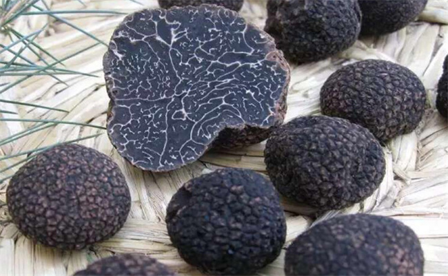 黑松露有哪些功效与作用-千呱博客网