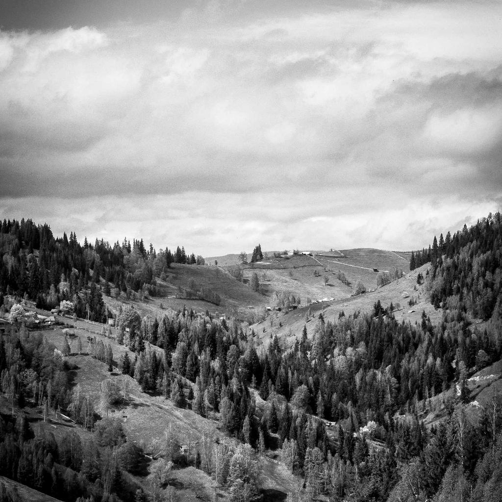 WordPress每日教程：从零开始，7天打造你的专业网站-千呱